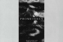 fan-made-prometheus-poster-midnight-marauder