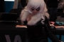 nycc-2013-cosplay-sexy-spider-man-black-cat