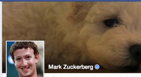Facebook Verified Pages and Profiles Become Official