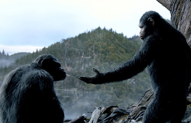 Dawn of the Planet of the Apes Plot