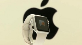 Apple Watch Details Possibly Leaked Through App