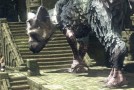 The Last Guardian Is Still In The Works